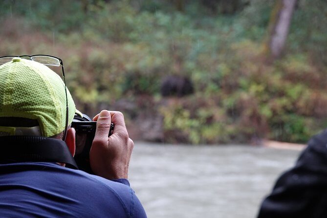 Full Day Grizzly Bear Tour to Toba Inlet - Key Points