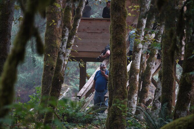 Full Day Grizzly Bear Tour to Toba Inlet - Practical Tips for Travelers