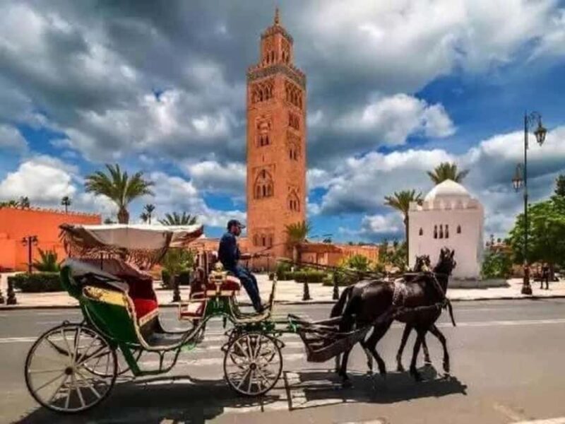 Full-Day Group Trip to Marrakech from Agadir - Who Is This Trip Ideal For?