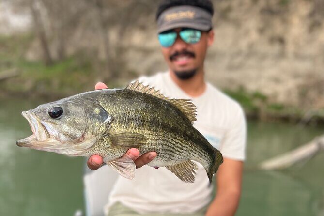Full Day Guided Fishing Tour in Canyon Lake - Experience Canyon Lake’s Top Fly Fishing Adventure: A Practical, Authentic Review