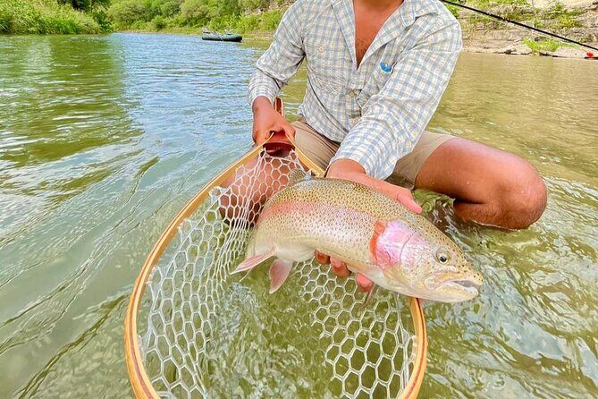 Full Day Guided Fishing Tour in Canyon Lake - Final Thoughts