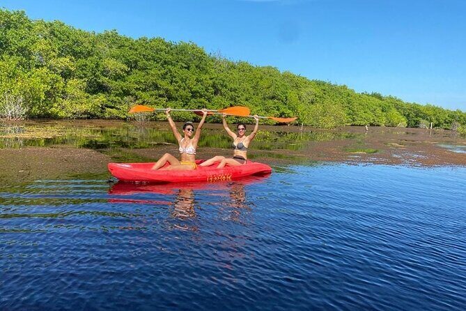 Full Day Guided Mangrove Bote Ride & Sisal Beach Time - Key Points