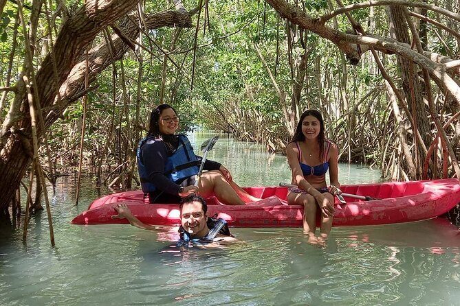 Full Day Guided Mangrove Bote Ride & Sisal Beach Time - An In-Depth Look at the Tour Experience