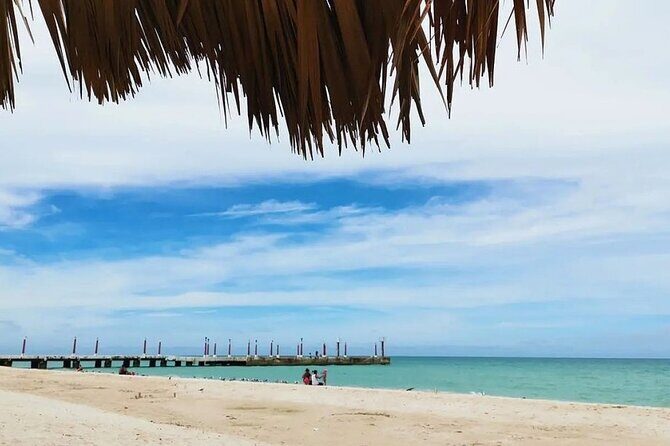 Full Day Guided Mangrove Bote Ride & Sisal Beach Time - Frequently Asked Questions