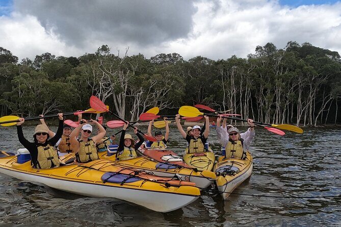 Full-Day Guided Noosa Everglades Kayak Tour - Key Points