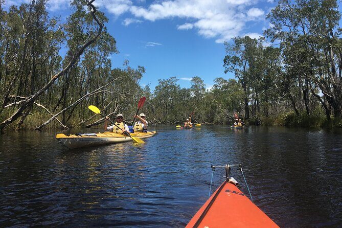 Full-Day Guided Noosa Everglades Kayak Tour - Final Thoughts