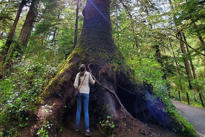 Full-Day Guided Oregon Coast Tour from Portland - FAQs