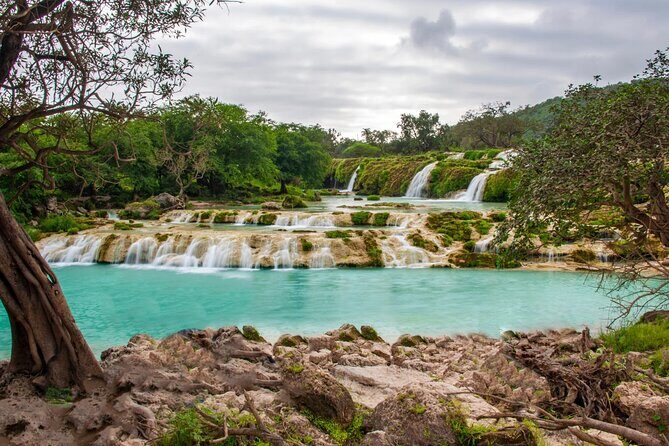 Full Day Guided Salalah a Combination of East and West tour - Why Choose This Tour?