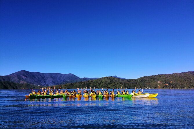 Full day Guided Sea Kayak Tour from Picton - The Full-Day Sea Kayak Experience: What You Can Expect