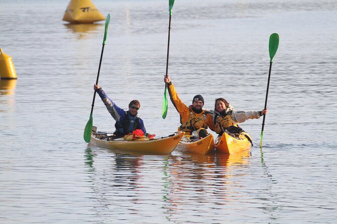 Full day Guided Sea Kayak Tour from Picton - Practical Considerations
