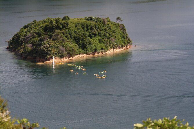 Full day Guided Sea Kayak Tour from Picton - Who Would Love This Experience?