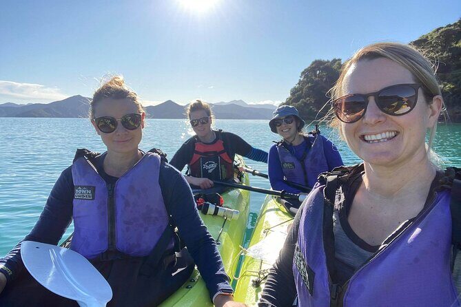 Full-Day Guided Sea Kayak Trip from Picton - A Deep Dive into the Full-Day Guided Sea Kayak Trip from Picton