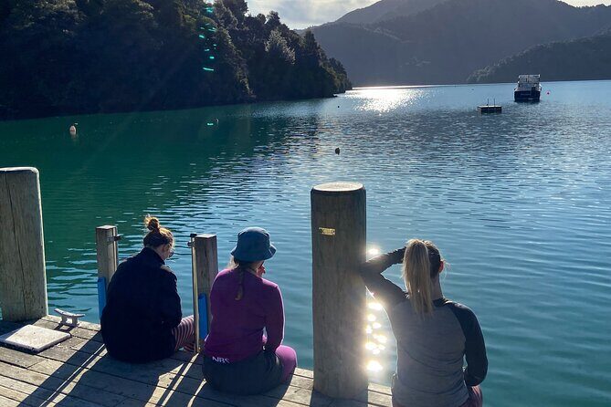 Full-Day Guided Sea Kayak Trip from Picton - Key Points