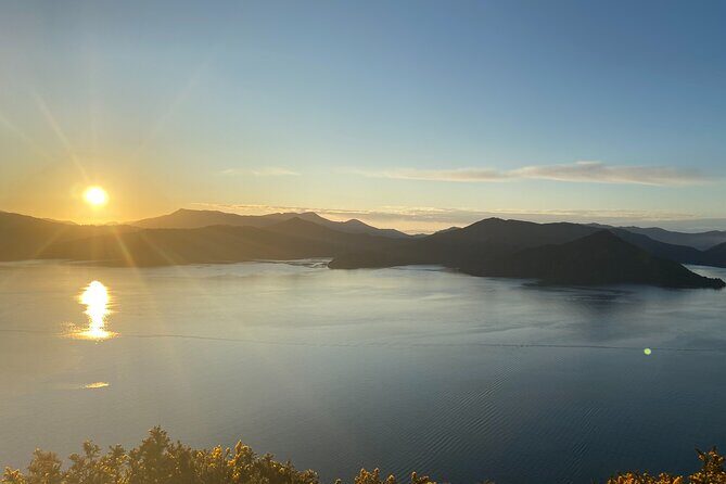 Full-Day Guided Sea Kayak Trip from Picton - Who Should Consider This Tour?