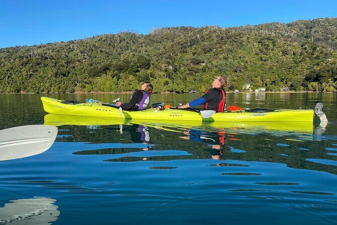 Full-Day Guided Sea Kayak Trip from Picton - The Sum Up