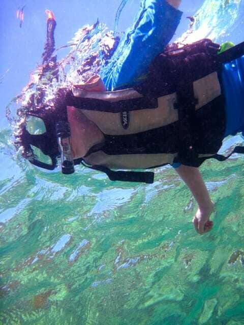 Full-Day Guided Snorkeling Tour from Kota Kinabalu - An In-Depth Look at the Full-Day Snorkeling Experience
