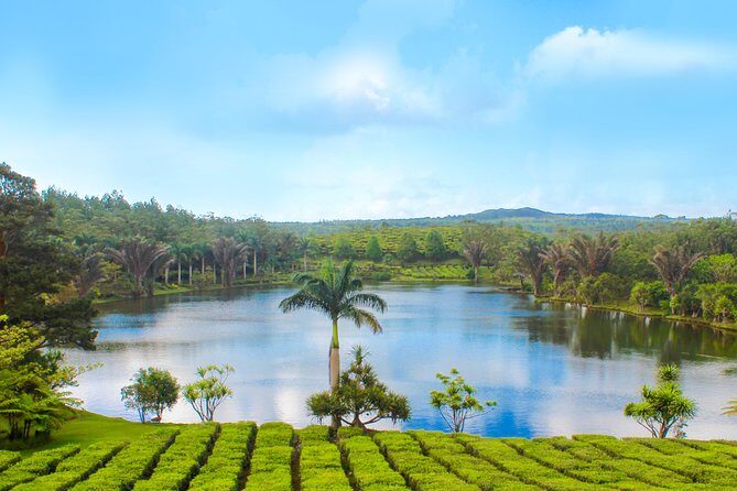 Full Day Guided Tea Route Mauritius: Including Lunch - Breakdown of the Itinerary