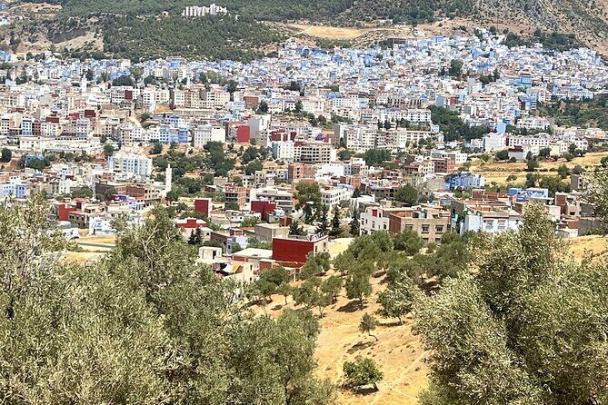 Full-Day Guided Tour from Fez to Chefchaouen - Introducing the Tour Experience