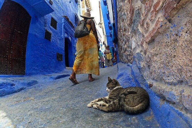 Full-Day Guided Tour from Fez to Chefchaouen - FAQ