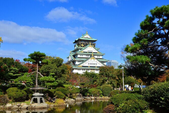 Full Day Guided Tour in Osaka by Van - Key Points