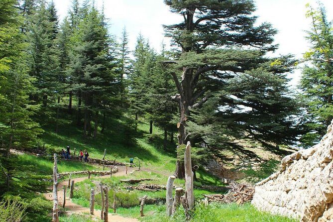 Full-Day Guided Tour of Northern Lebanon with Hotel Pickup - An In-Depth Look at the Tour Experience
