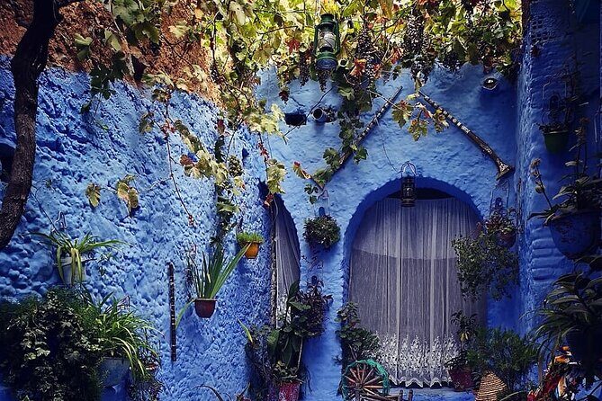 Full Day Guided Tour to Chefchaouen and The Panoramic of Tangier - Final Thoughts
