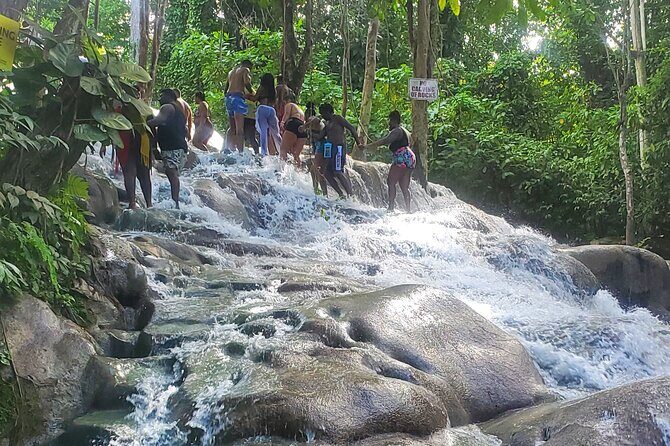Full-Day Guided Tour to Dunns River Falls & shopping with lunch - Who Will Love This Tour?