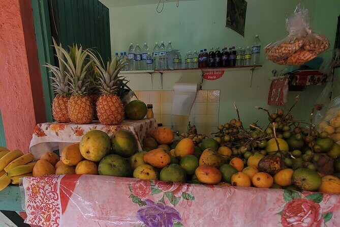Full-Day Guided Tour to Dunns River Falls & shopping with lunch - Final Thoughts: Is This Tour Right for You?