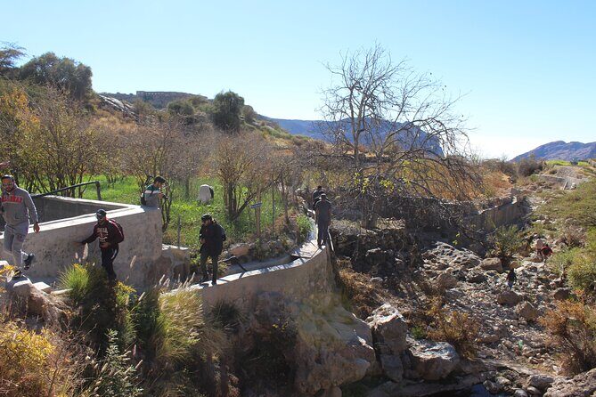 Full-Day Guided Tour to Jebel Akhdar - Final Thoughts: Who Is This Tour For?