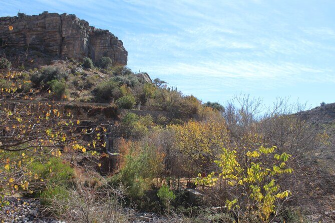 Full-Day Guided Tour to Jebel Akhdar - FAQ