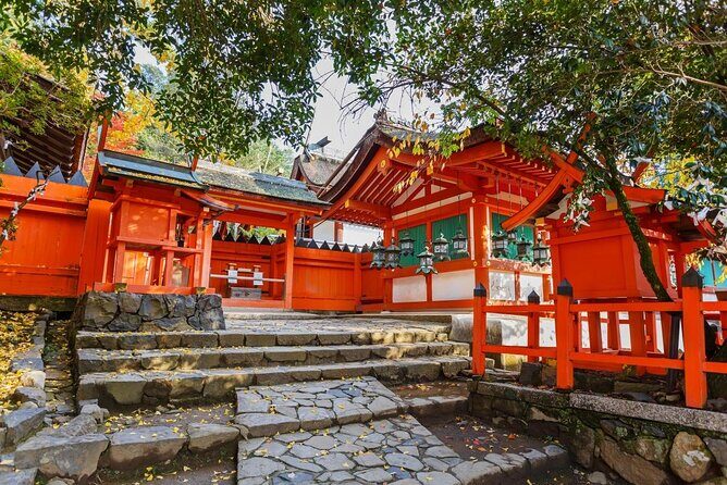 Full Day Guided Tour to Nara from Osaka by Van - Exploring Nara from Osaka: A Practical and Authentic Day Trip