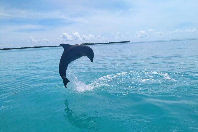 Full Day Guided Tour to Sian Ka'an (short way) - The Sum Up