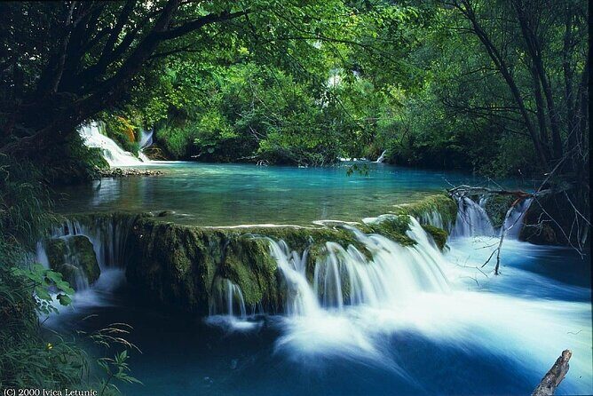 Full-Day Guided Trekking Tour in Bach Ma National Park Vietnam - What Makes This Tour Stand Out?