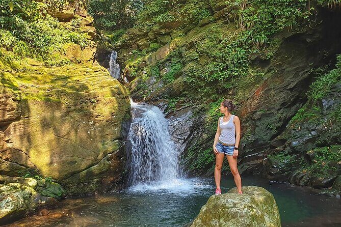 Full-Day Guided Trekking Tour in Bach Ma National Park Vietnam - FAQs