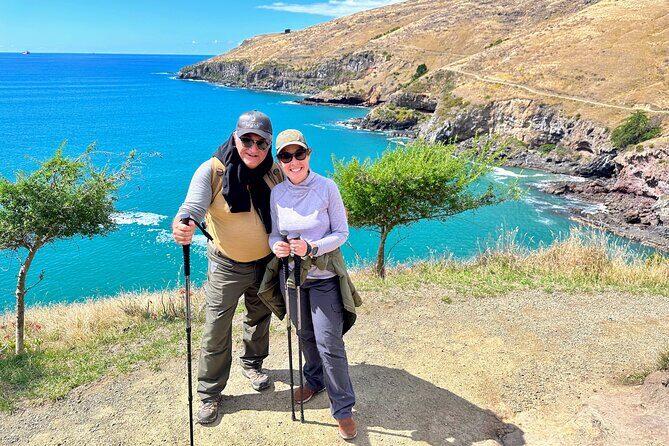 Full Day Guided Walking Tour and Picnic around Godley Head - An In-Depth Look at the Godley Head Experience