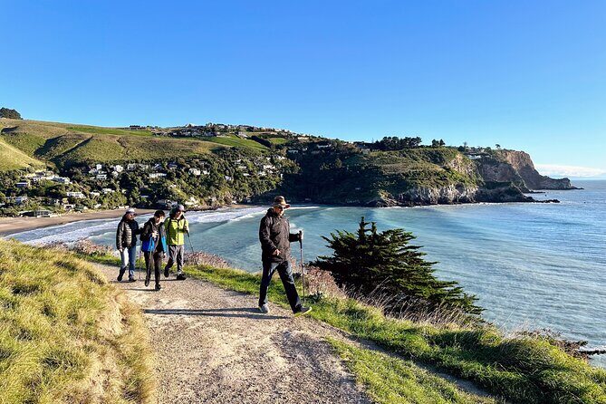 Full Day Guided Walking Tour and Picnic around Godley Head - The Sum Up: Who Should Sign Up?