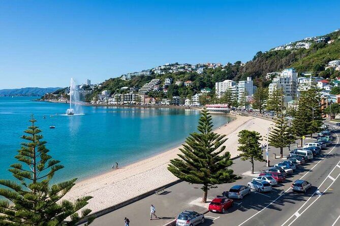 Full Day Guided Wellington Tour including guided tour at Te Papa - Starting with the Best View: Mount Victoria Lookout