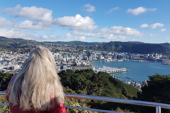 Full Day Guided Wellington Tour including guided tour at Te Papa - Riding the Iconic Wellington Cable Car