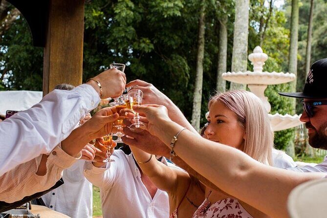 Full Day Guided Wine Tour in Mt Tamborine From Brisbane - Key Points