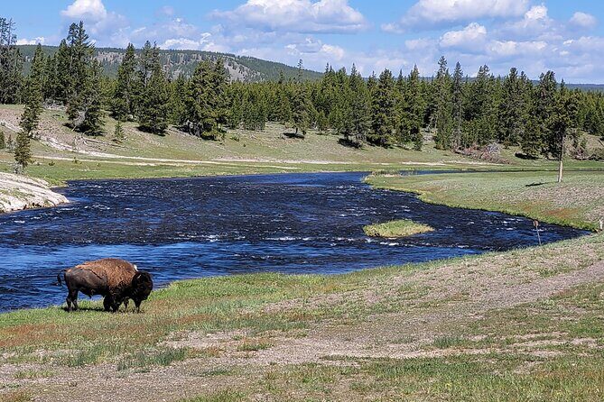 Full-Day Guided Yellowstone Day Tour - FAQ