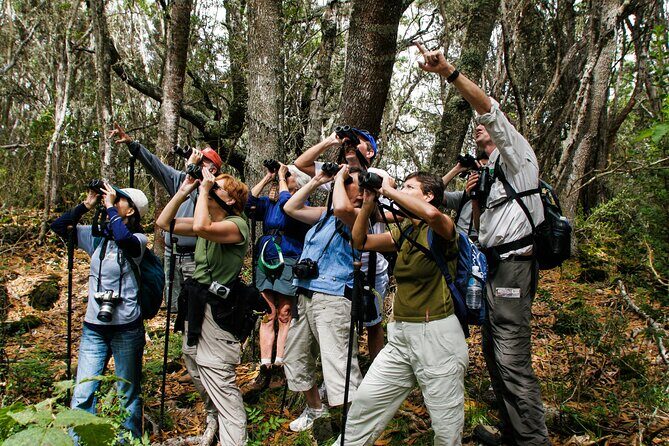 Full-Day Hakalau Forest Reserve Bird Watching Adventure - Introduction: An Exciting Birding Adventure on the Big Island