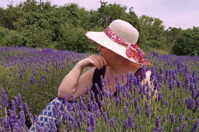 Full-Day Highlights of Prince Edward County Private Tour - Why Choose the Full-Day Prince Edward County Tour?