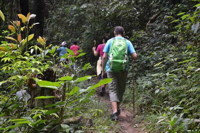 Full-Day Hike and Bike Tour from Chiang Mai - A Closer Look at the Tour Experience
