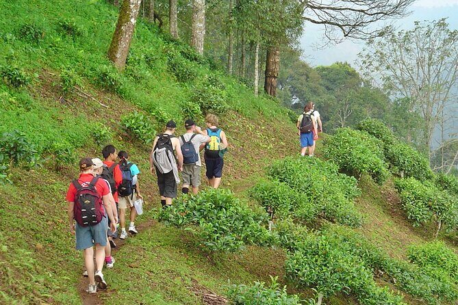 Full-Day Hike and Bike Tour from Chiang Mai - The Itinerary in Detail