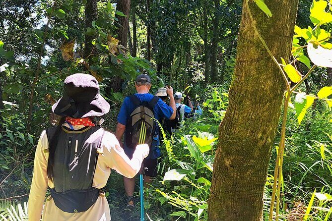 Full-Day Hike and Bike Tour from Chiang Mai - Value and Who Will Benefit Most
