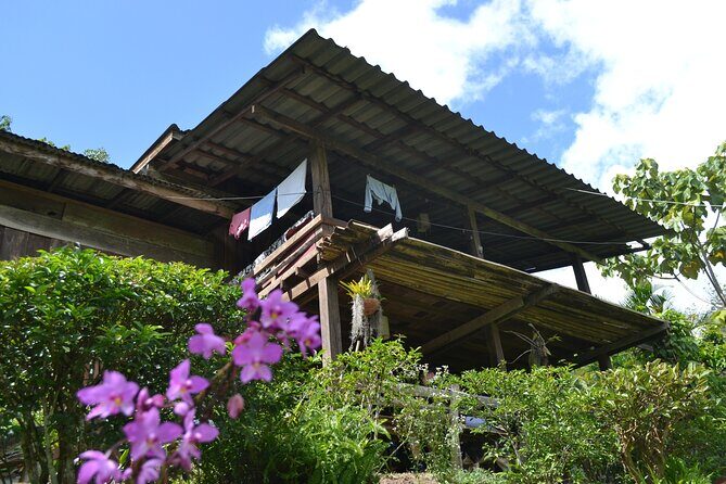 Full-Day Hike and Bike Tour from Chiang Mai - FAQ