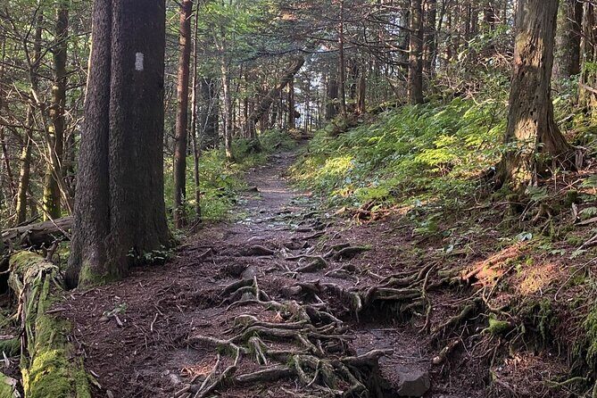 Full Day Hike to Charlies Bunion on the Appalachian Trail - A Deep Dive into the Appalachian Trail to Charlies Bunion