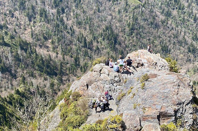Full Day Hike to Charlies Bunion on the Appalachian Trail - Who Would Love This Tour?
