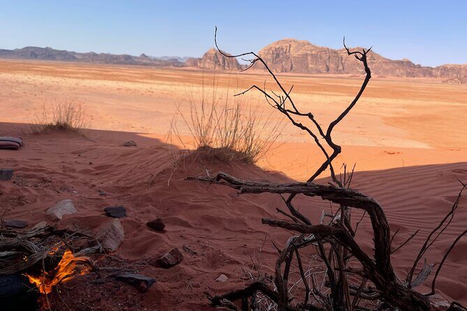 Full-Day Hiking in Wadi Rum's Desert with Lunch - The Experience from Reviews