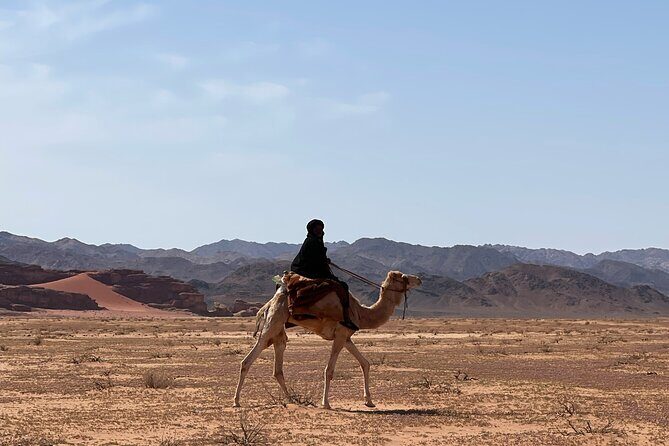 Full-Day Hiking in Wadi Rum's Desert with Lunch - Who Would Love This Tour?